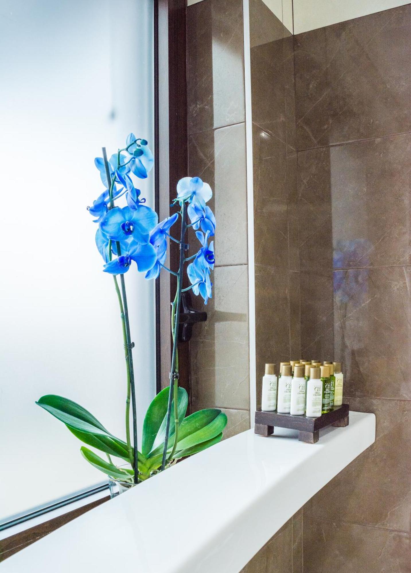 Best Western Plus Olives City Hotel - Free Pool & Parking Σόφια Εξωτερικό φωτογραφία